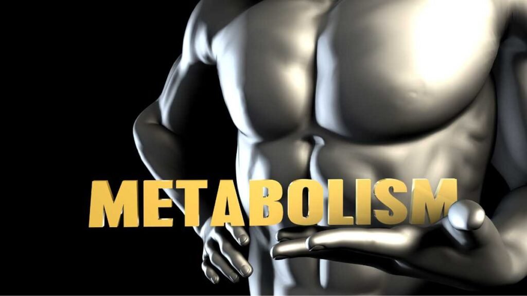Elemento Necessário para o Metabolismo: O Papel do Ferro no Corpo Humano