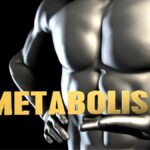 Elemento Necessário para o Metabolismo: O Papel do Ferro no Corpo Humano