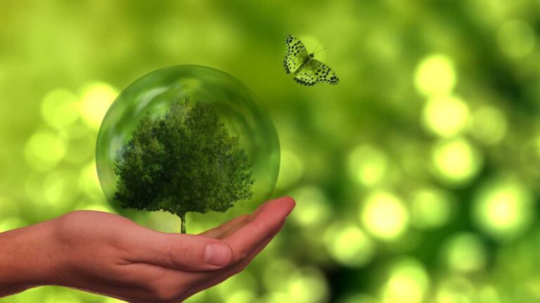 Qual a importância do desenvolvimento sustentável nas empresas?
