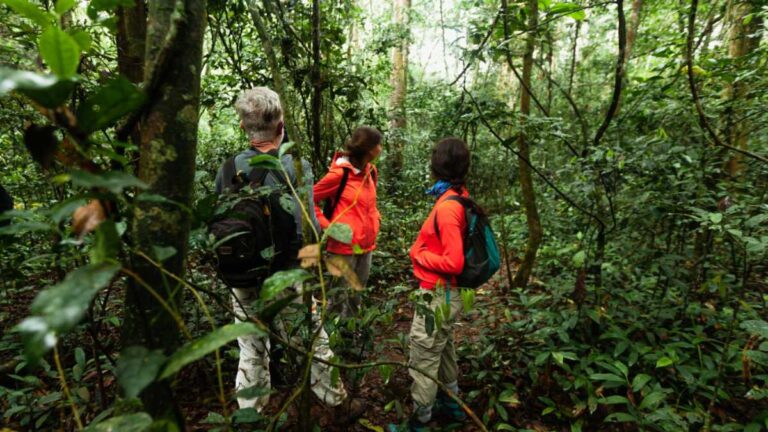 O que é ecoturismo e como praticar