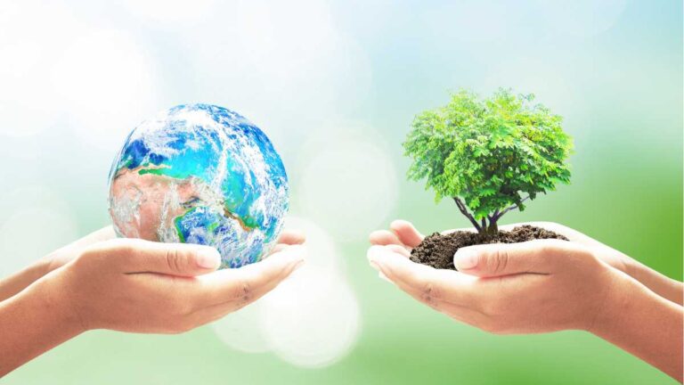 Meio ambiente: soluções sustentáveis para preservação