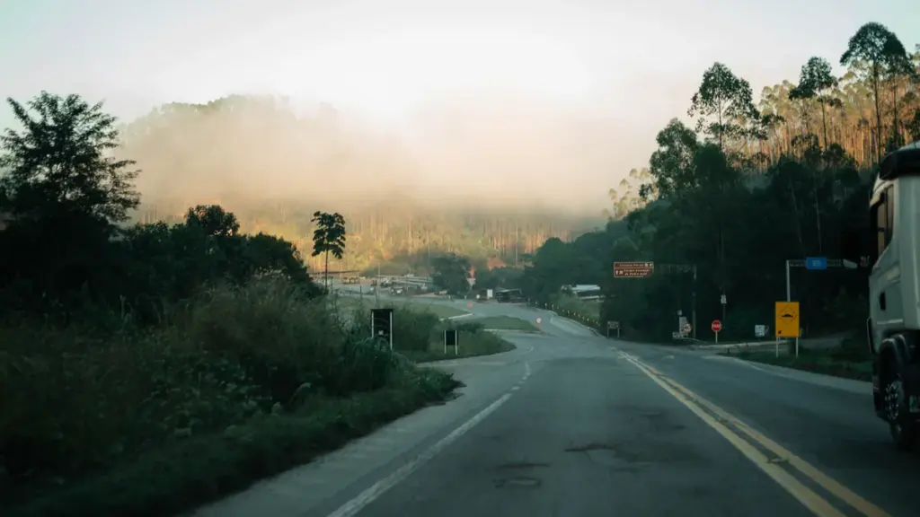Estrada brasileira entre vegetação e neblina, em fotografia ilustrativa de viagem