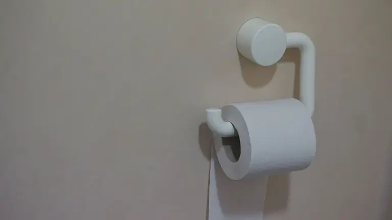 NÃO JOGUE PAPEL NO VASO: Por que é importante evitar o descarte inadequado